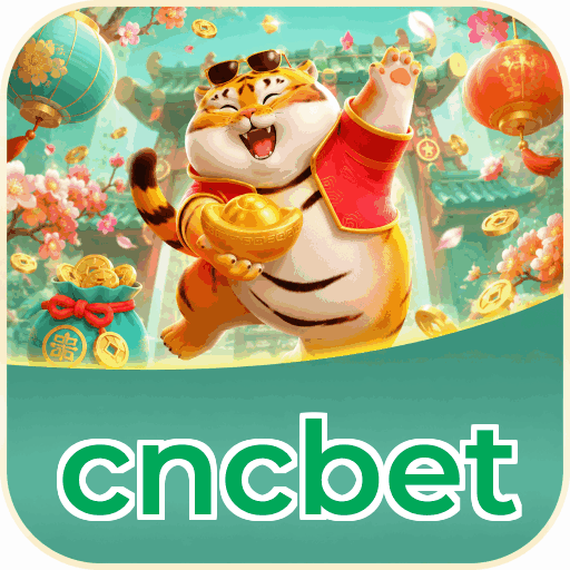 Comparação APP mobile vs versão web da cncbet